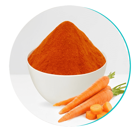 Carrot powder ingredient in Biodentex