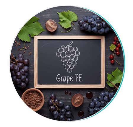 Grape seed extract ingredient in Biodentex